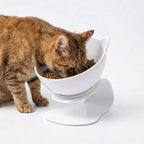 Cat Bowl Orthopedic 15° Tilt Detachable Double Bowls