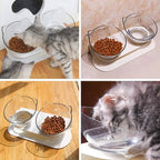 Cat Bowl Orthopedic 15° Tilt Detachable Double Bowls