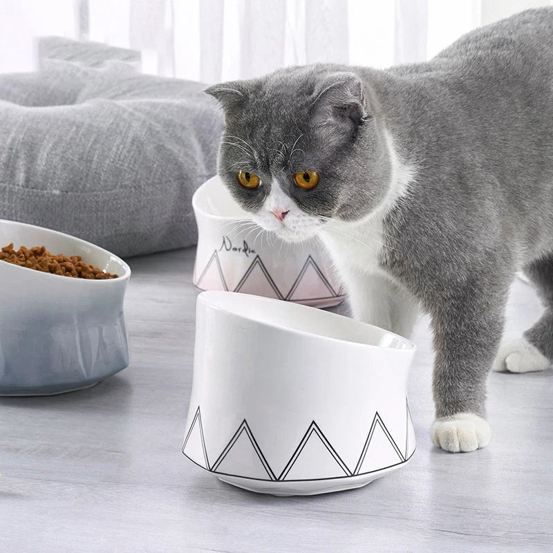 Cat Bowl Shallow & Wide Ceramic Whisker-Friendly