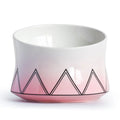 Cat Bowl Shallow & Wide Ceramic Whisker-Friendly