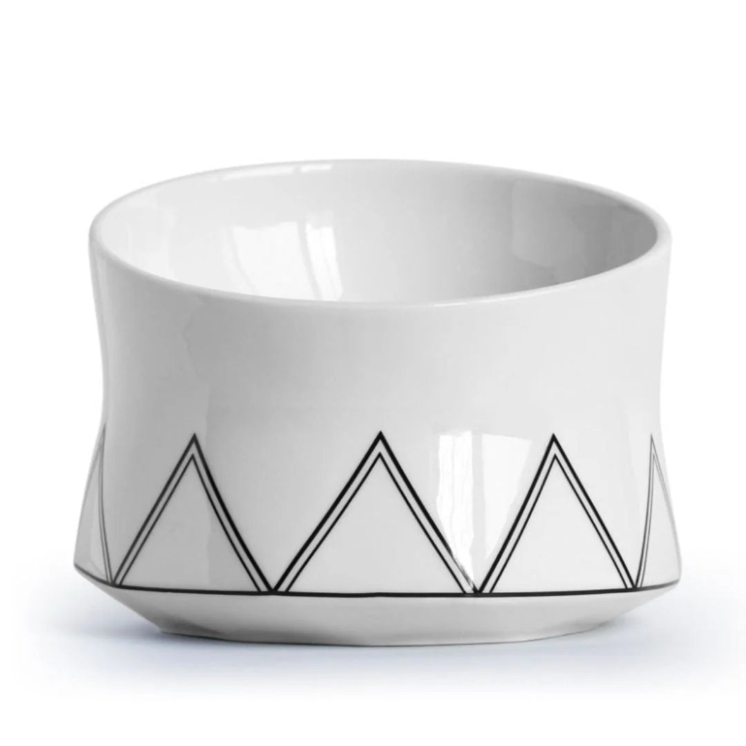 Cat Bowl Shallow & Wide Ceramic Whisker-Friendly