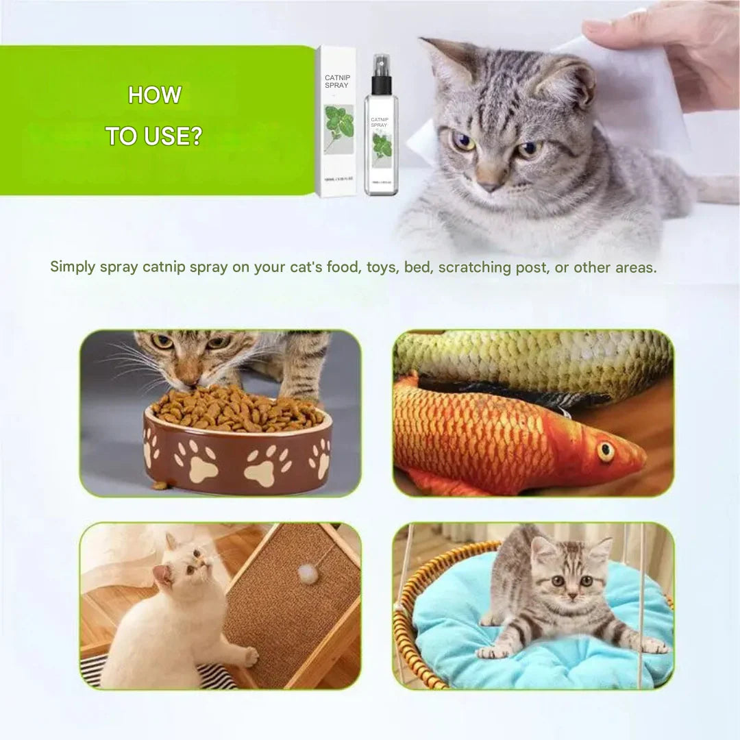 Cat Calming Spray Silvervine Extract Natural & Safe