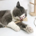 Cat Chew Sticks Silvervine & Catnip Textured 3-Pack