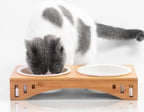 Cat Feeding Station Bamboo Arch Removable Bone China Bowls
