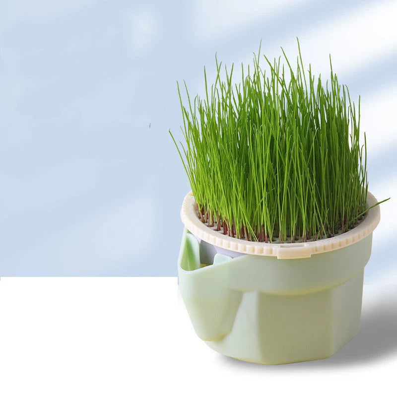 Cat Grass Cup Hydroponic Food-Grade Rye & Wheat Seeds