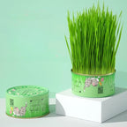 Cat Grass Cup Hydroponic Food-Grade Rye & Wheat Seeds