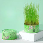 Cat Grass Cup Hydroponic Food-Grade Rye & Wheat Seeds
