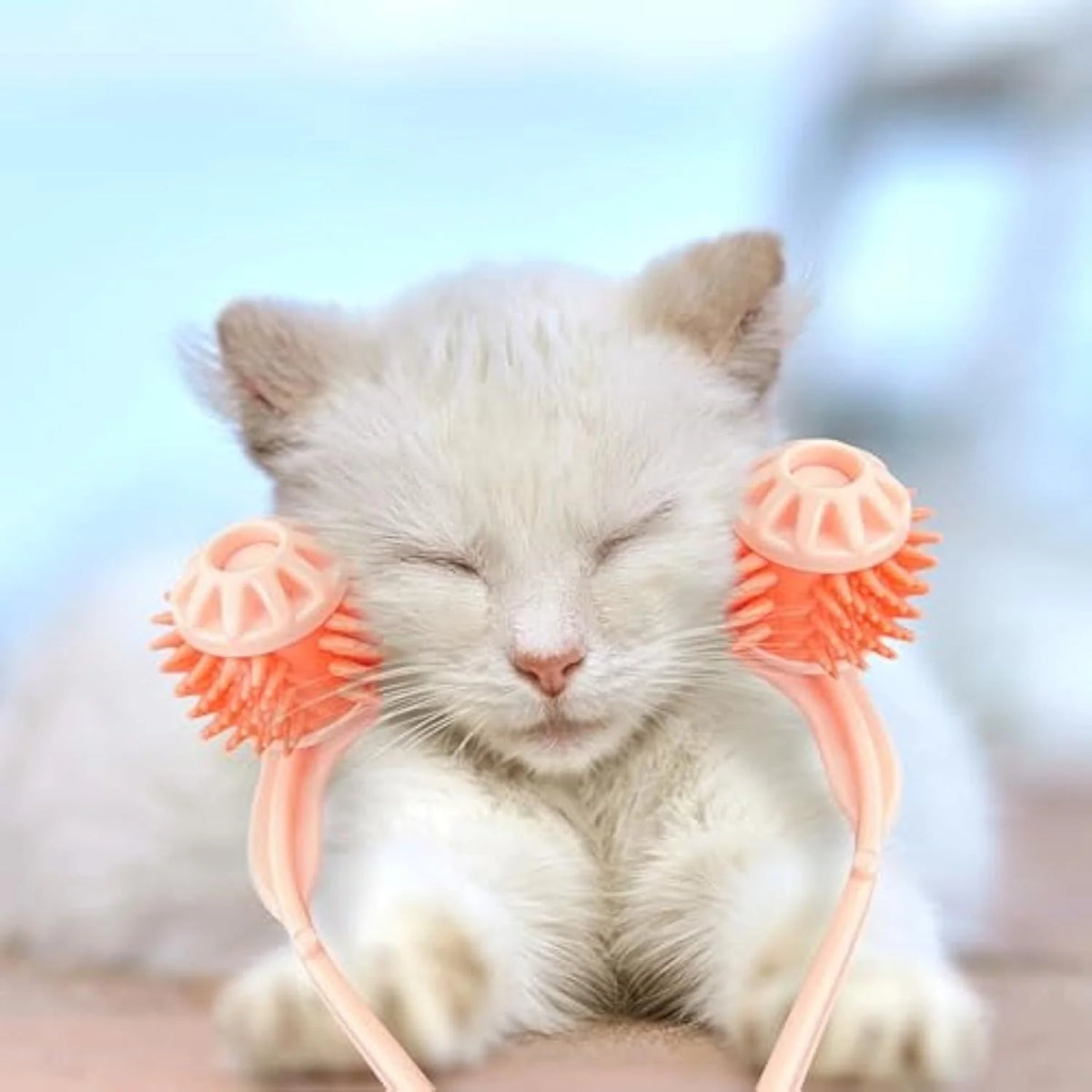 Cat Grooming Roller Scroll Wheel Soft Non-Toxic