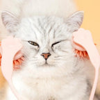 Cat Grooming Roller Scroll Wheel Soft Non-Toxic