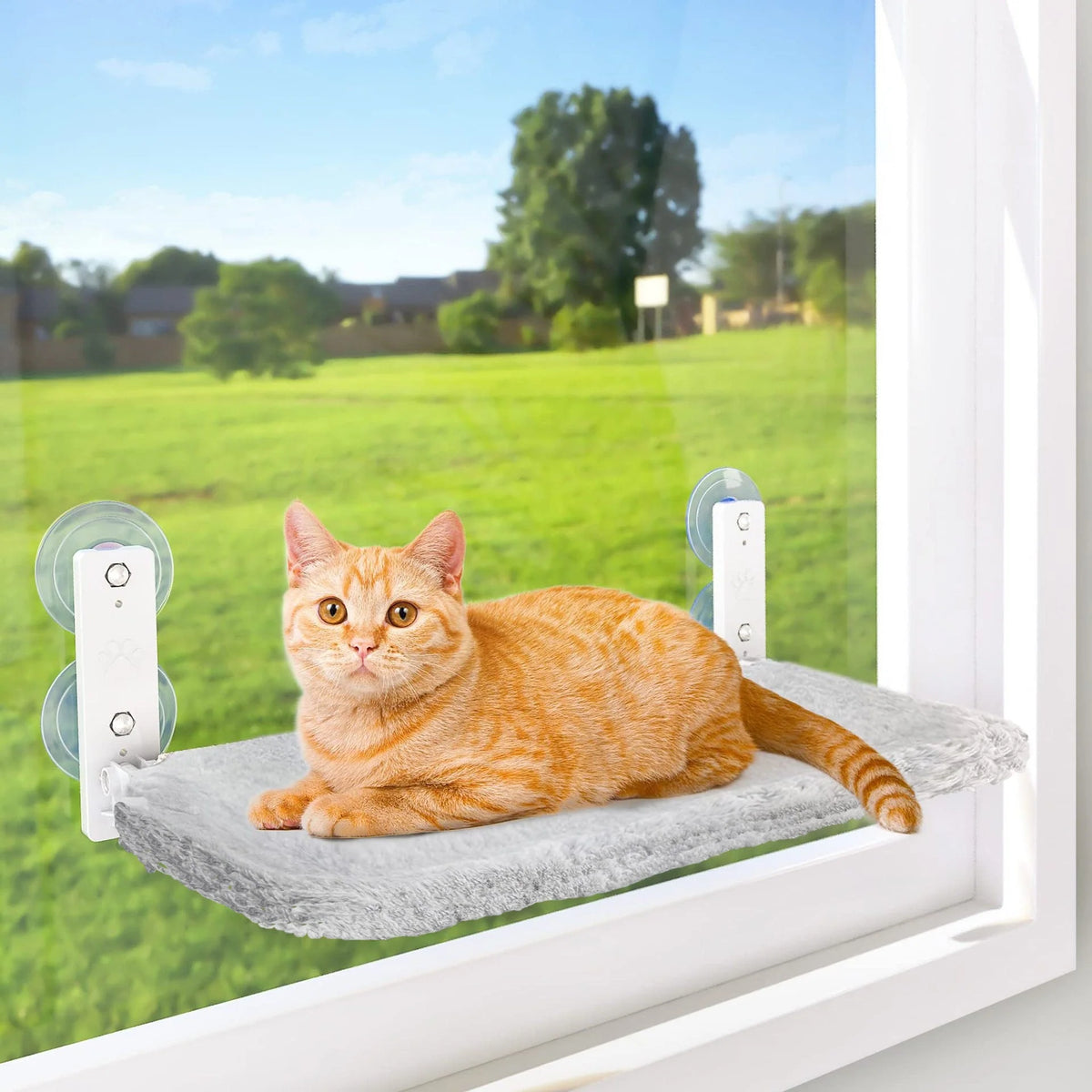 Cat Hammock Foldable Cordless Plush Stainless Steel Frame