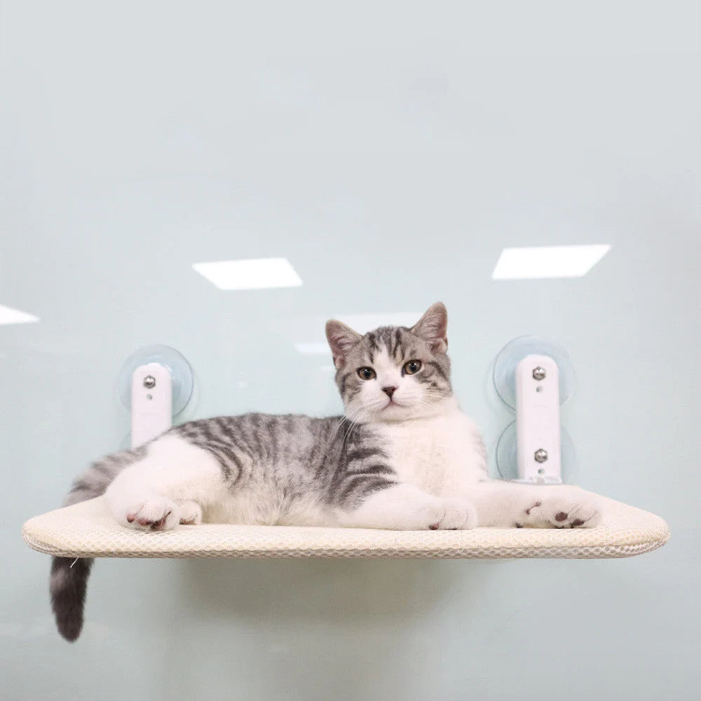 Cat Hammock Foldable Suction Cups Supports 33 Lbs