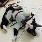 Cat Harness Breathable Cotton Adjustable Secure Fit