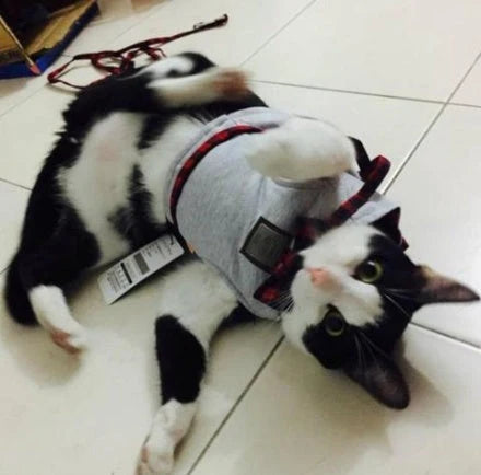 Cat Harness Breathable Cotton Adjustable Secure Fit