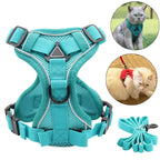 Cat Harness & Leash Set Reflective Breathable Mesh Quick-Release
