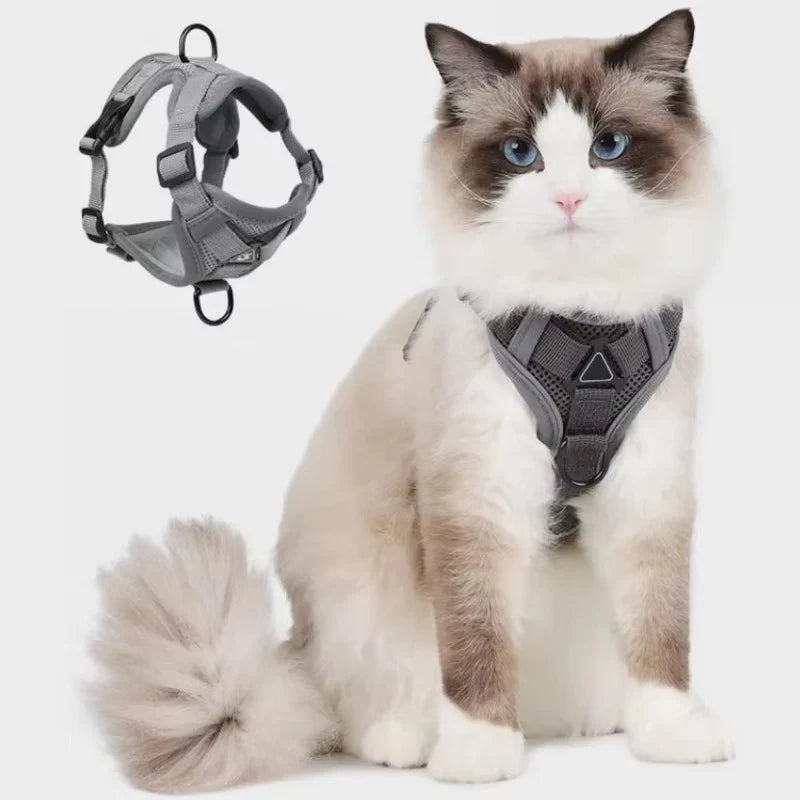 Cat Harness & Leash Set Reflective Breathable Mesh Quick-Release