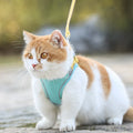Cat Harness Vest Suede Escape-Proof Adjustable With Leash