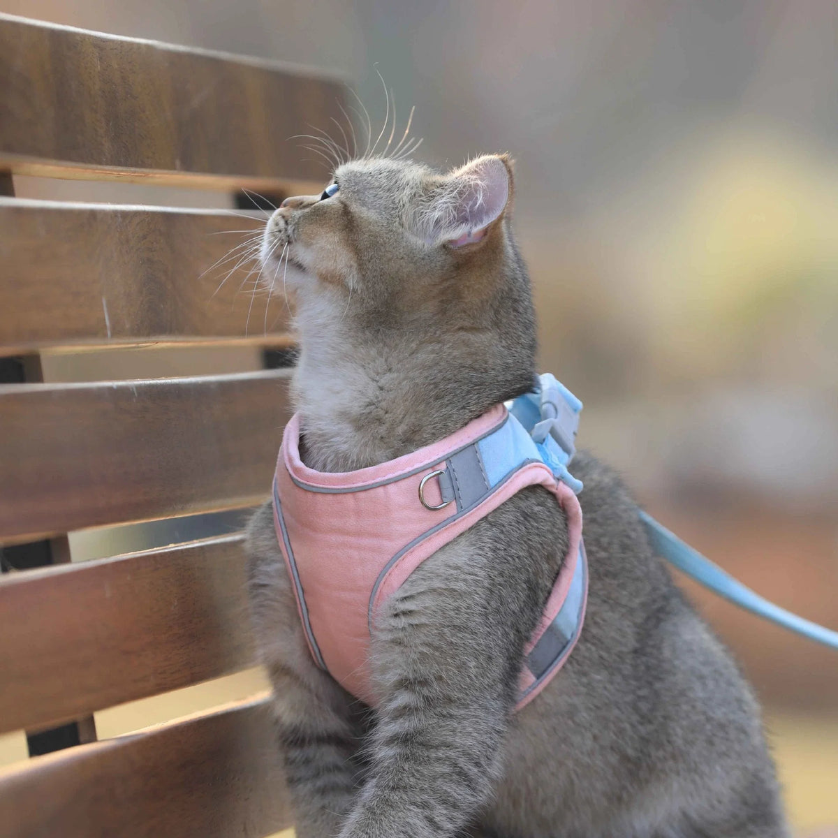 Cat Harness Vest Suede Escape-Proof Adjustable With Leash