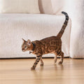 Cat Laser Collar Adjustable Strap Durable ABS