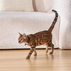 Cat Laser Collar Adjustable Strap Durable ABS