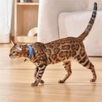 Cat Laser Collar Adjustable Strap Durable ABS