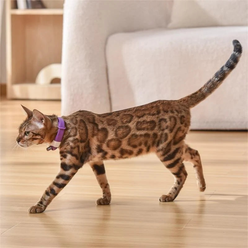 Cat Laser Collar Adjustable Strap Durable ABS