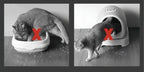 Cat Litter Mat Dual-Layer Water-Resistant Machine Washable