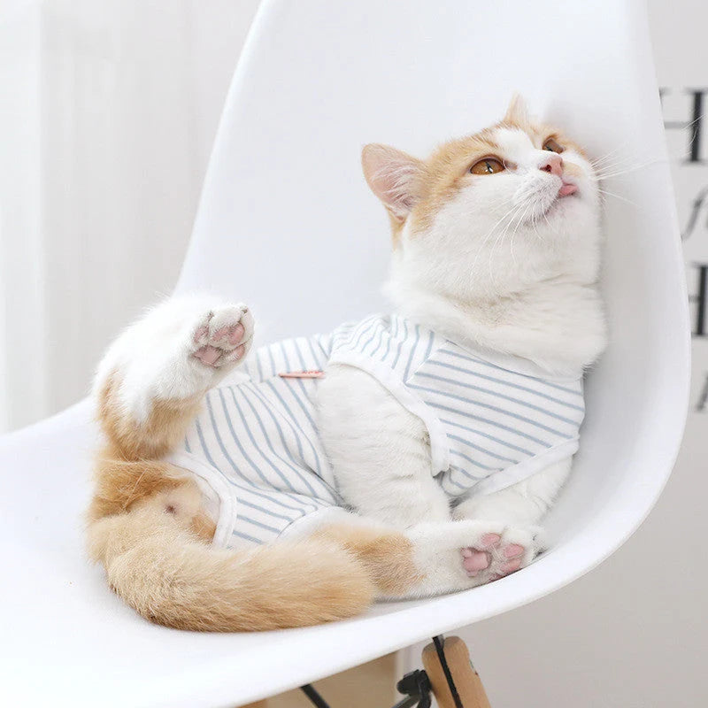 Cat Recovery Outfit Soft Breathable Blue And White Stripe