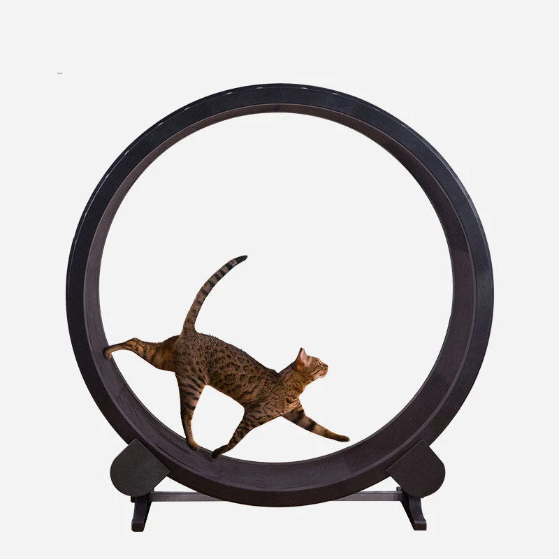 Cat Running Wheel Durable PVC & EVA Easy Assembly