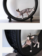 Cat Running Wheel Durable PVC & EVA Easy Assembly