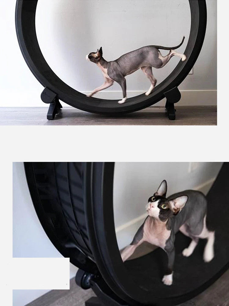 Cat Running Wheel Durable PVC & EVA Easy Assembly