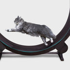 Cat Running Wheel Durable PVC & EVA Easy Assembly