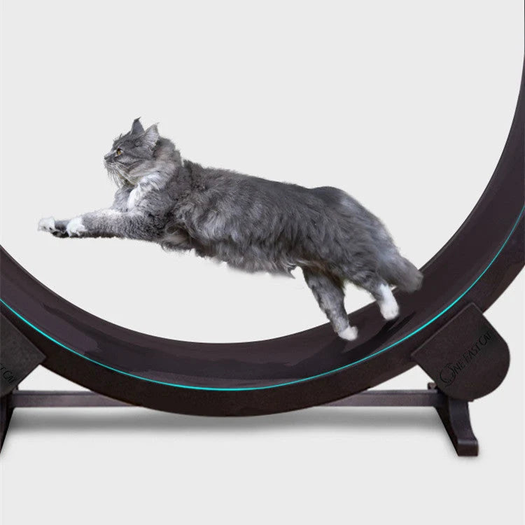 Cat Running Wheel Durable PVC & EVA Easy Assembly