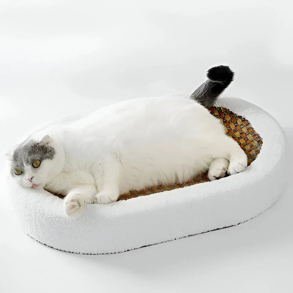 Cat Scratch Lounge Bed Dual-Function Soft Fabric
