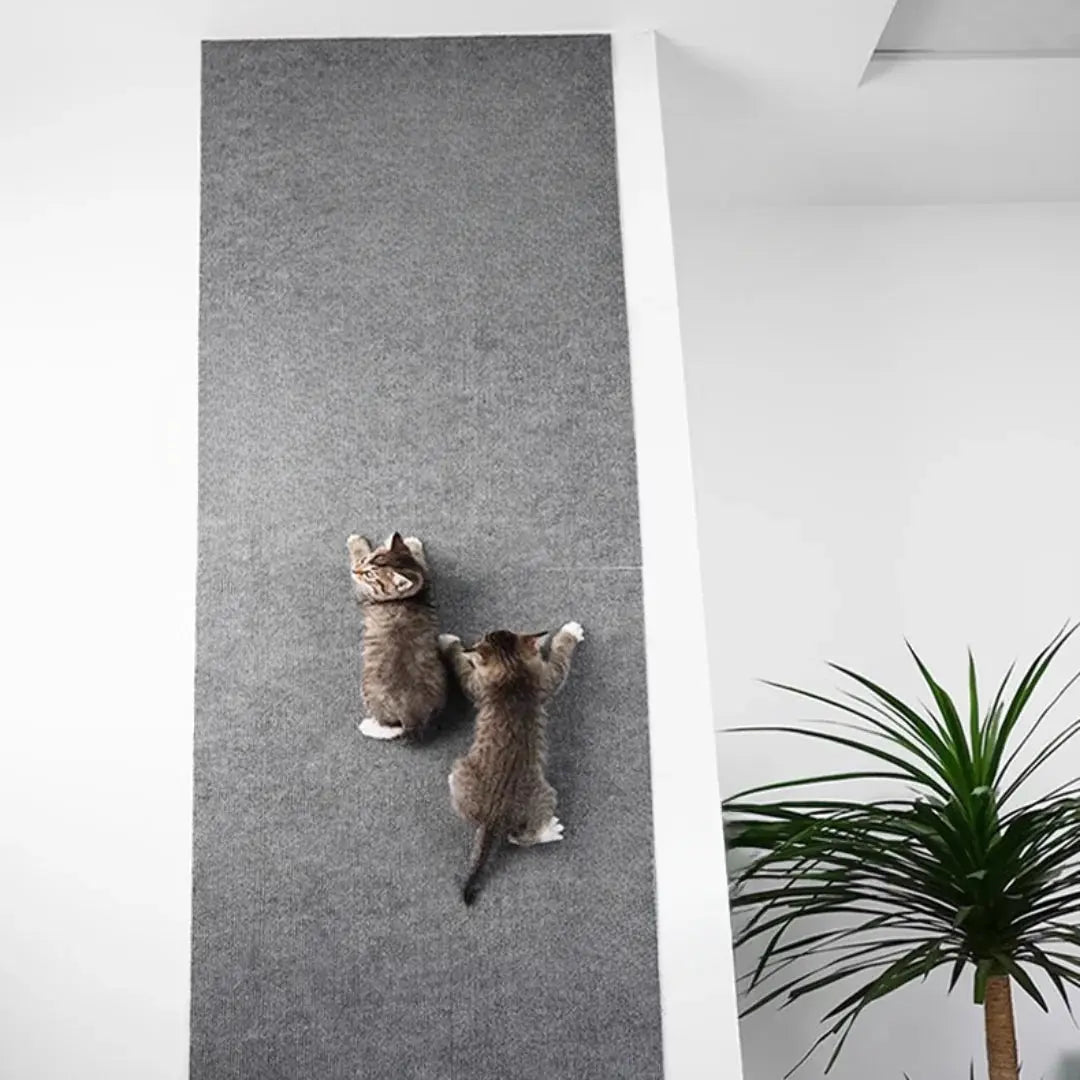 Cat Scratch Protector Pad Scratch-Attracting Nylon Repositionable