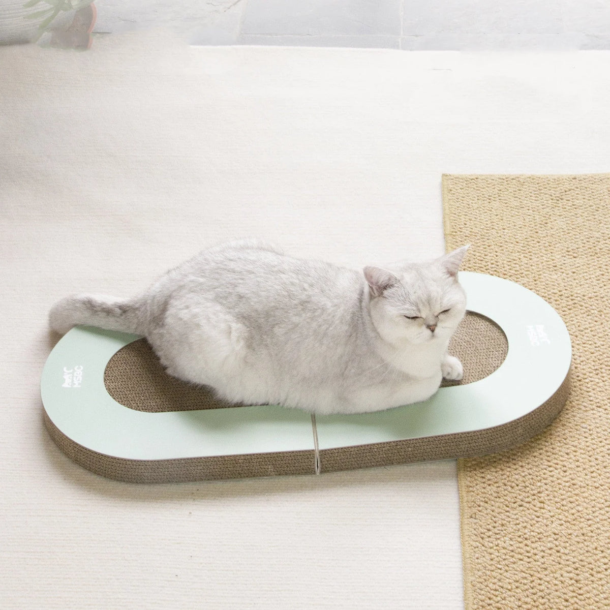 Cat Scratcher Foldable Corrugated Paper With Toy Ball