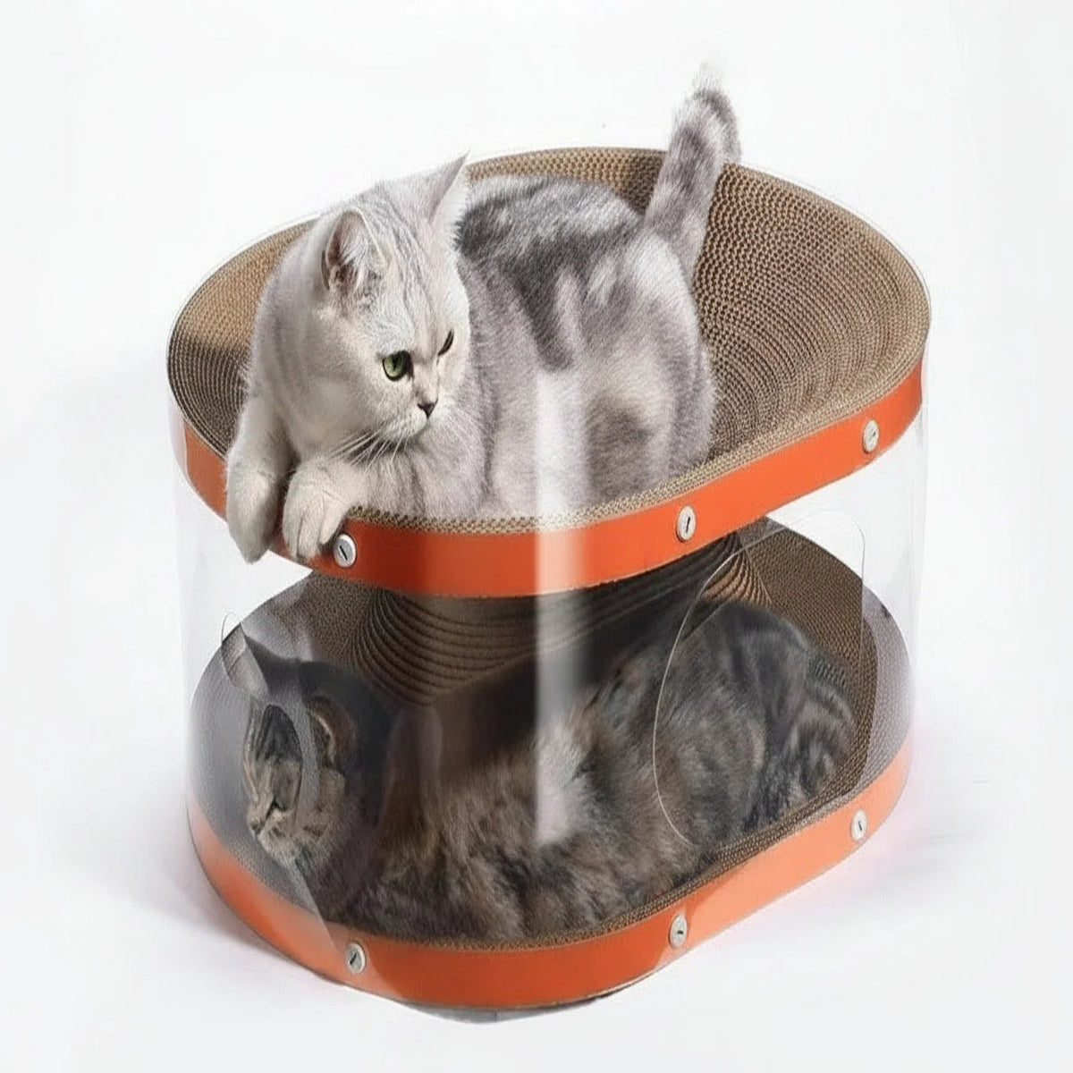 Cat Scratcher Two-Level Corrugated Cardboard