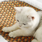 Cat Scratching Bed Plush Pad & Durable Scratching Surface