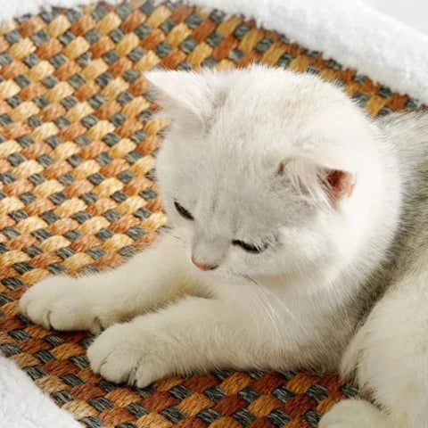 Cat Scratching Bed Plush Pad & Durable Scratching Surface