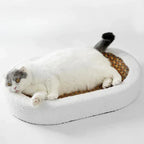 Cat Scratching Bed Plush Pad & Durable Scratching Surface