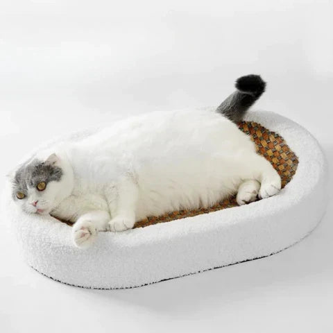 Cat Scratching Bed Plush Pad & Durable Scratching Surface