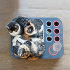 Cat Scratching Board Multi-Level Eco-Friendly Padded Top
