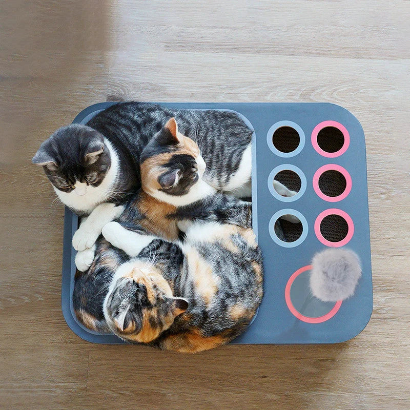 Cat Scratching Board Multi-Level Eco-Friendly Padded Top