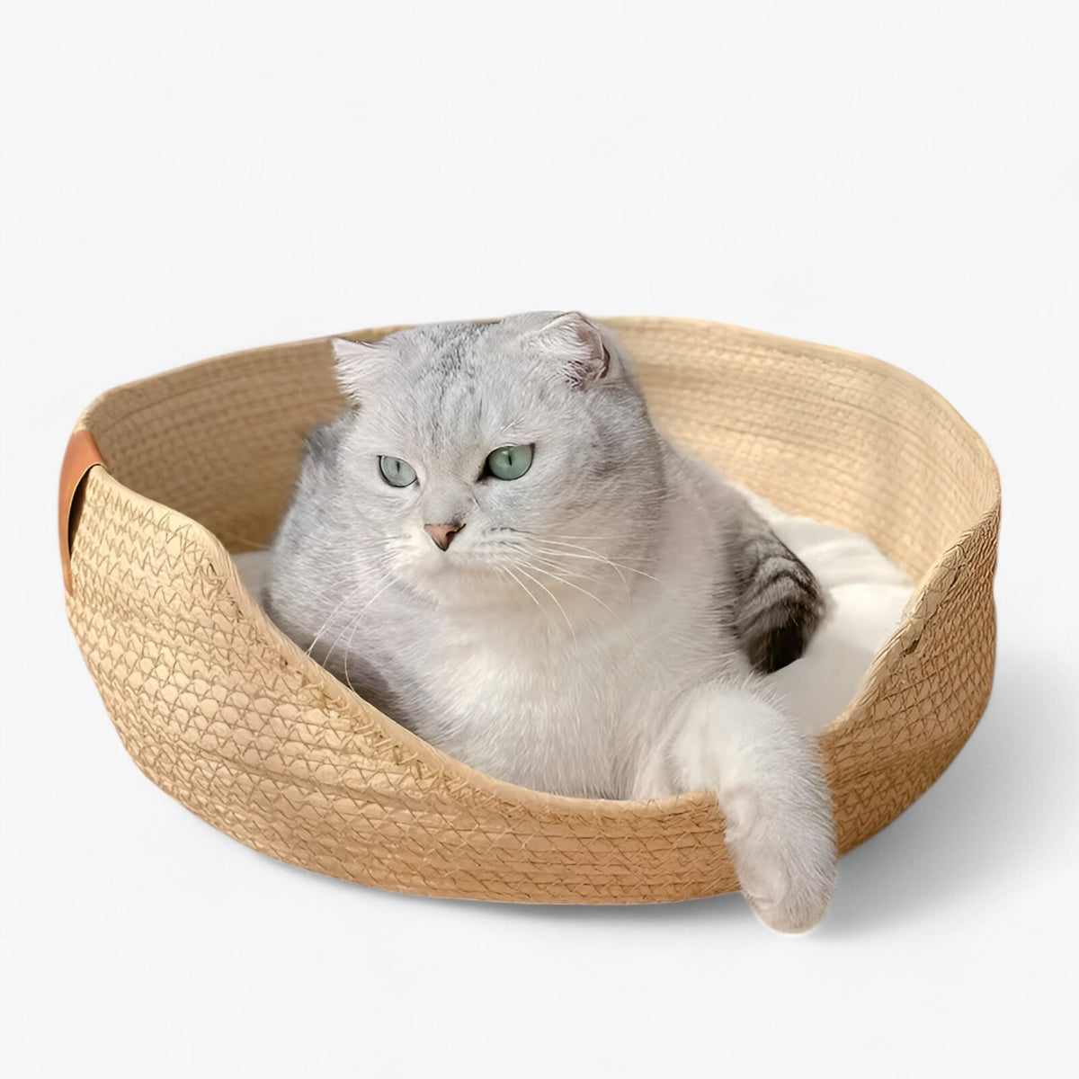 Cat & Small Dog Bed Handwoven Bamboo Plush Cushion