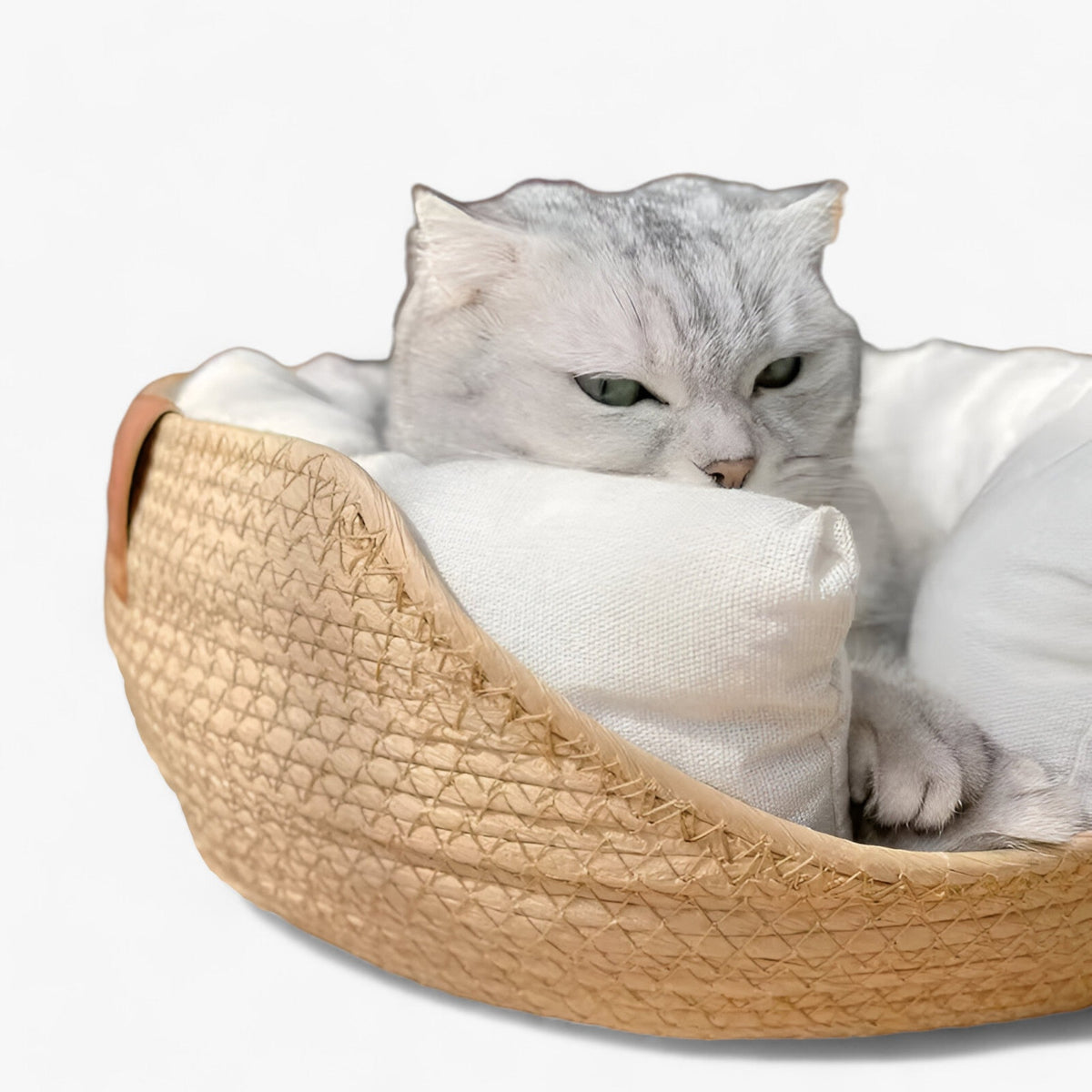 Cat & Small Dog Bed Handwoven Bamboo Plush Cushion