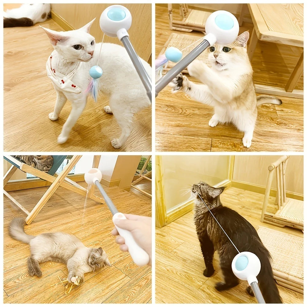 Cat Teaser Wand Retractable Feather & Tassel Heads
