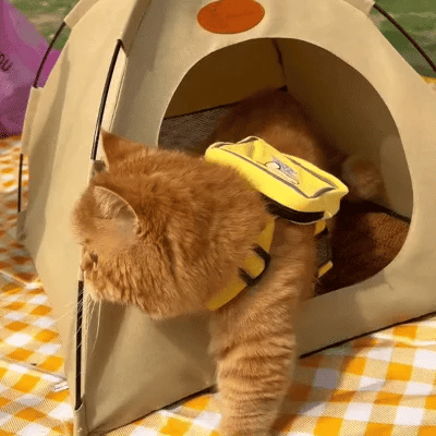 Cat Tent Breathable Polyester Reversible Cushion Foldable