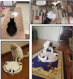 Cat Toy Auto-Moving Mouse & Cheese Battery Powered