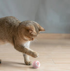 Cat Toy Automatic Bouncing & Rolling Rechargeable Silicone
