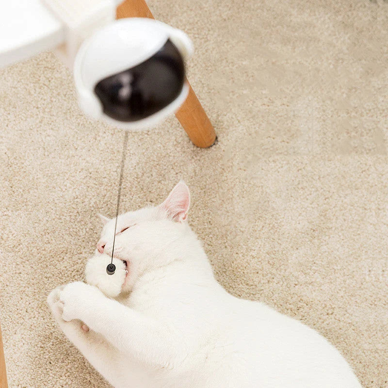 Cat Toy Automatic Motion Battery-Powered