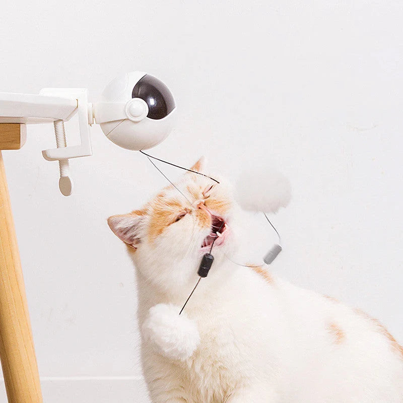 Cat Toy Automatic Motion Battery-Powered